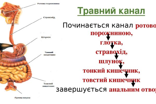 Ссылка на кракена для тора