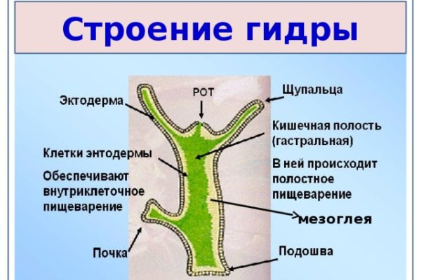 Кракен магазин