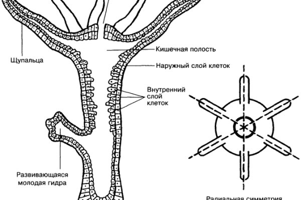 Кракен оригинальная ссылка для тор