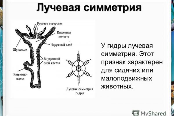 Кракен зеркало орион