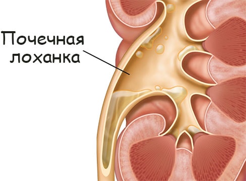 Кракен магазин krakens13 at